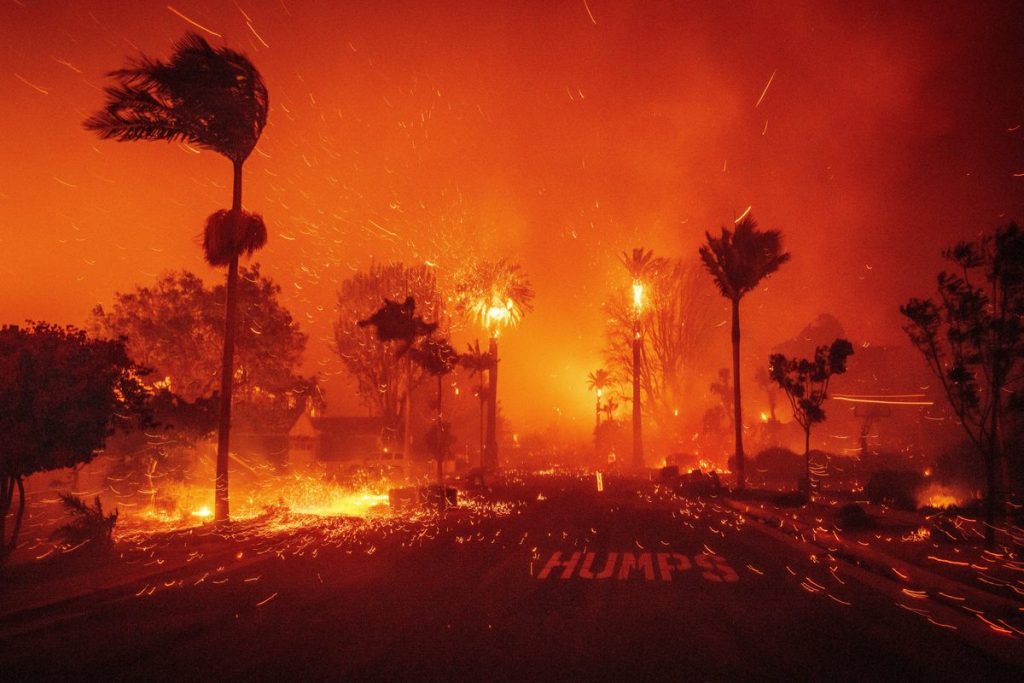Incendie ravageant des palmiers de nuit en Californie, photographie de photojournalisme contemporain illustrant le thème photojournalisme de l'exposition Fragile Beauté au Jeu de Paume